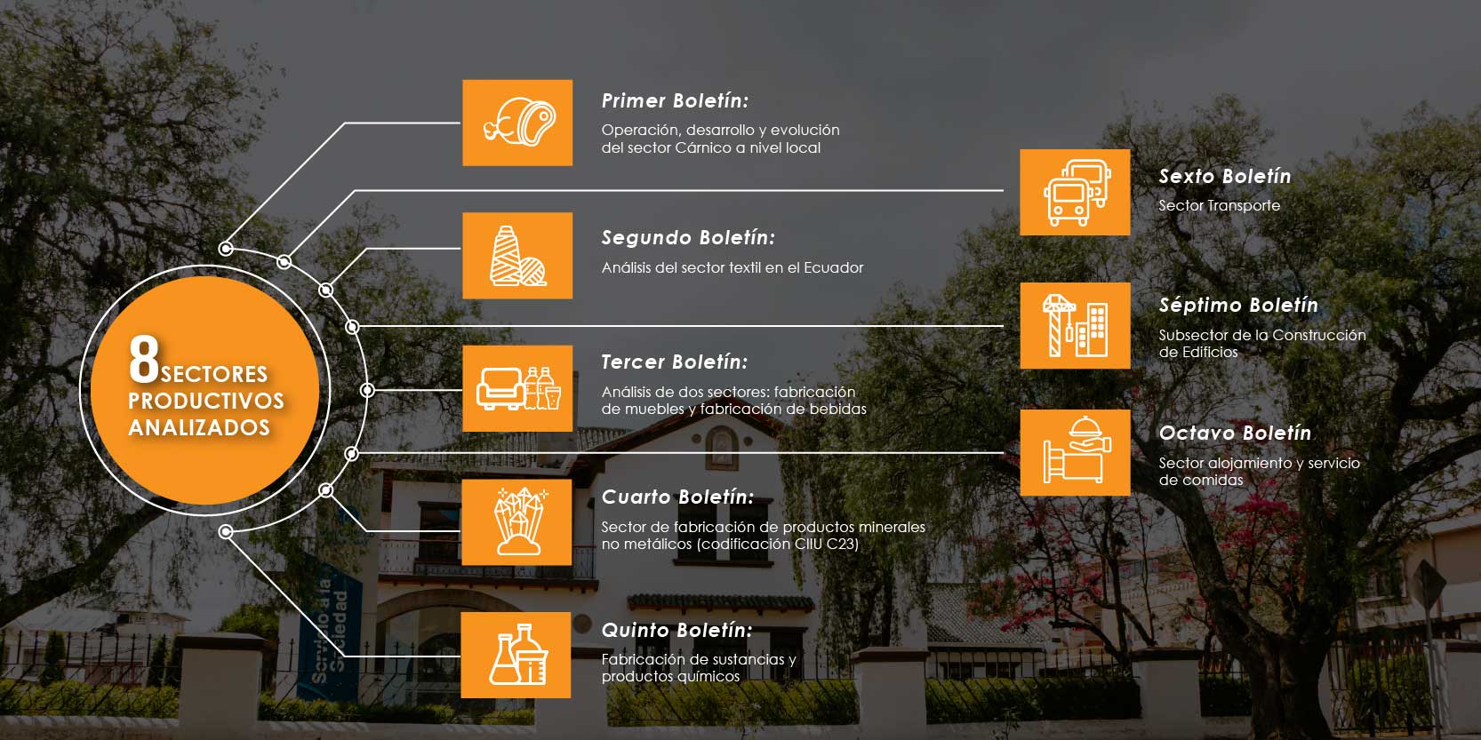 Boletines anuales de sectores analizados