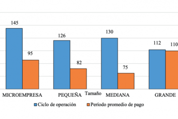 Análisis del desempeño del tejido empresarial ecuatoriano.